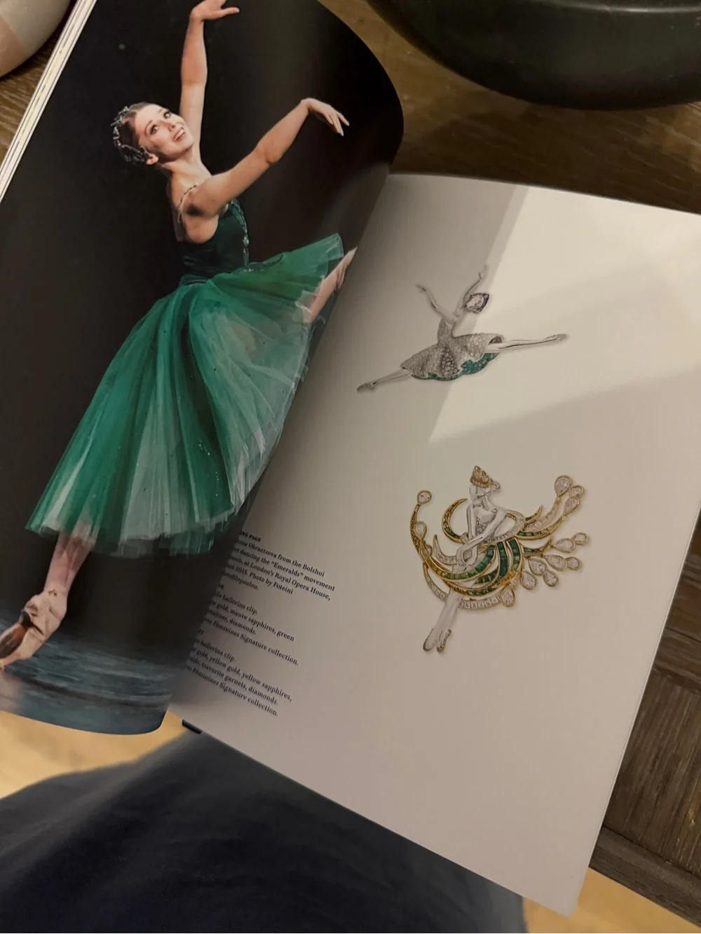 Van Cleef & Arpels White Book with Blue Title and Red Illustration